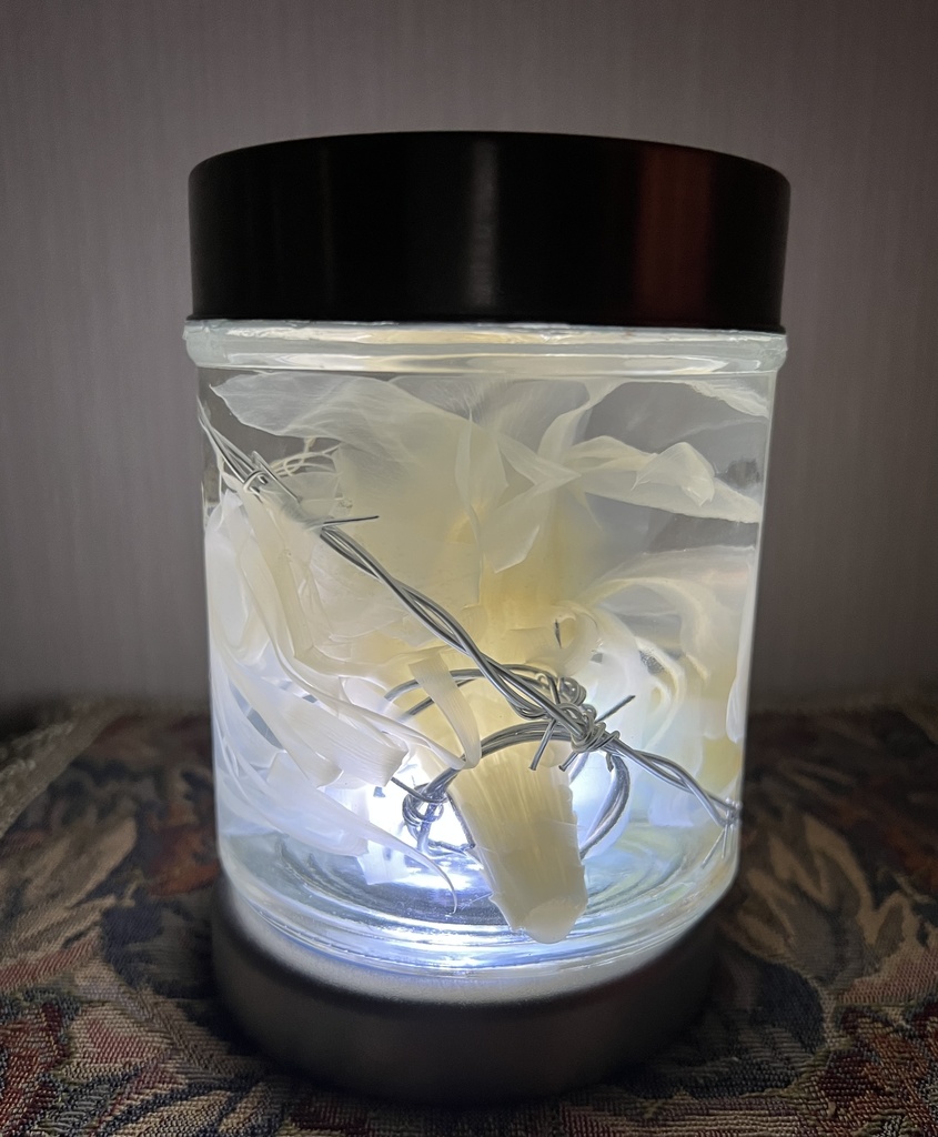 No.32: 星屑の月下美人標本