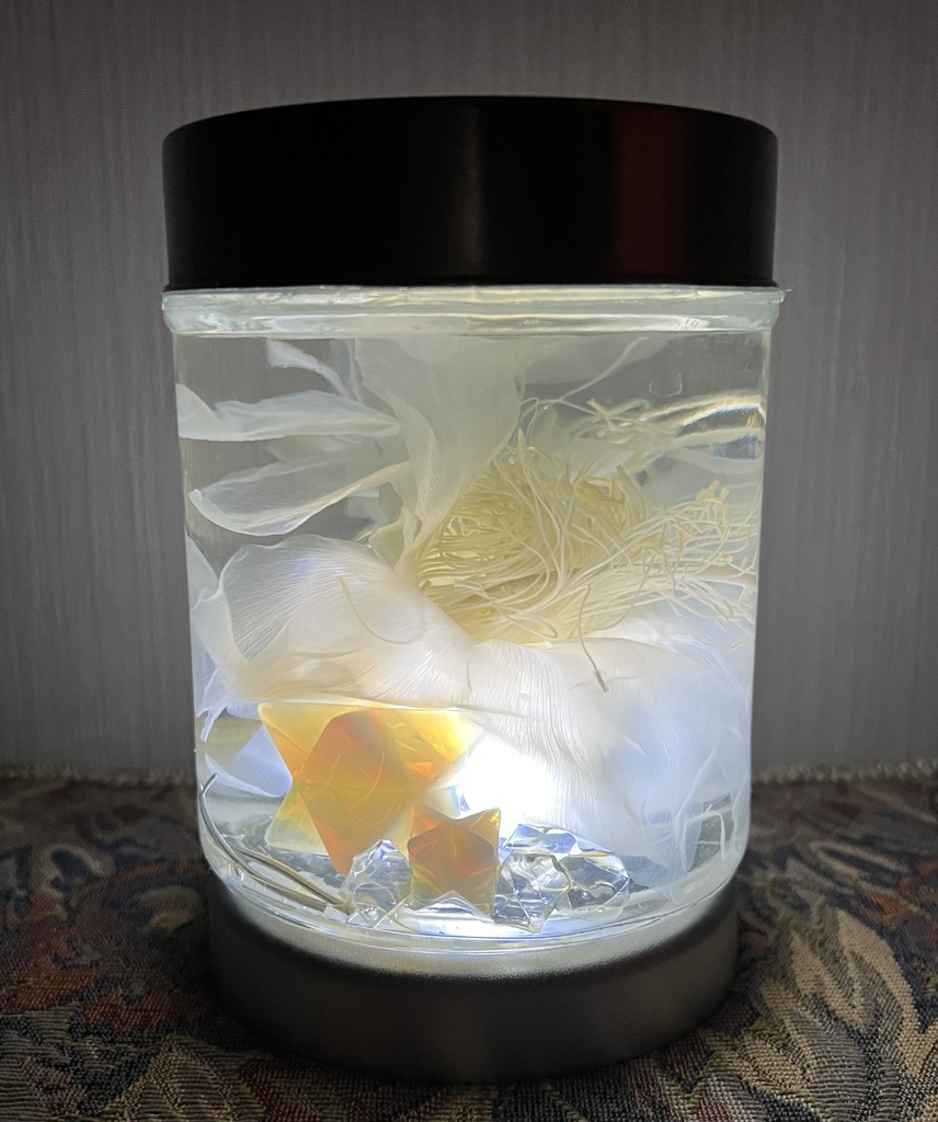 No.32: 星屑の月下美人標本