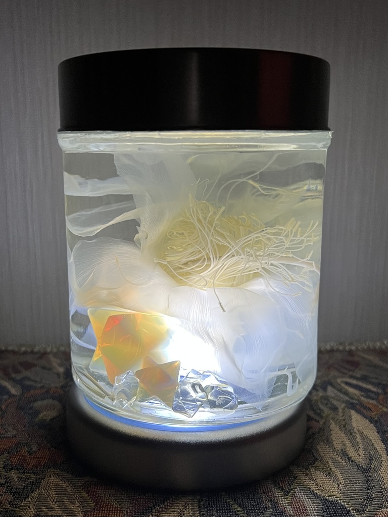 No.32: 星屑の月下美人標本