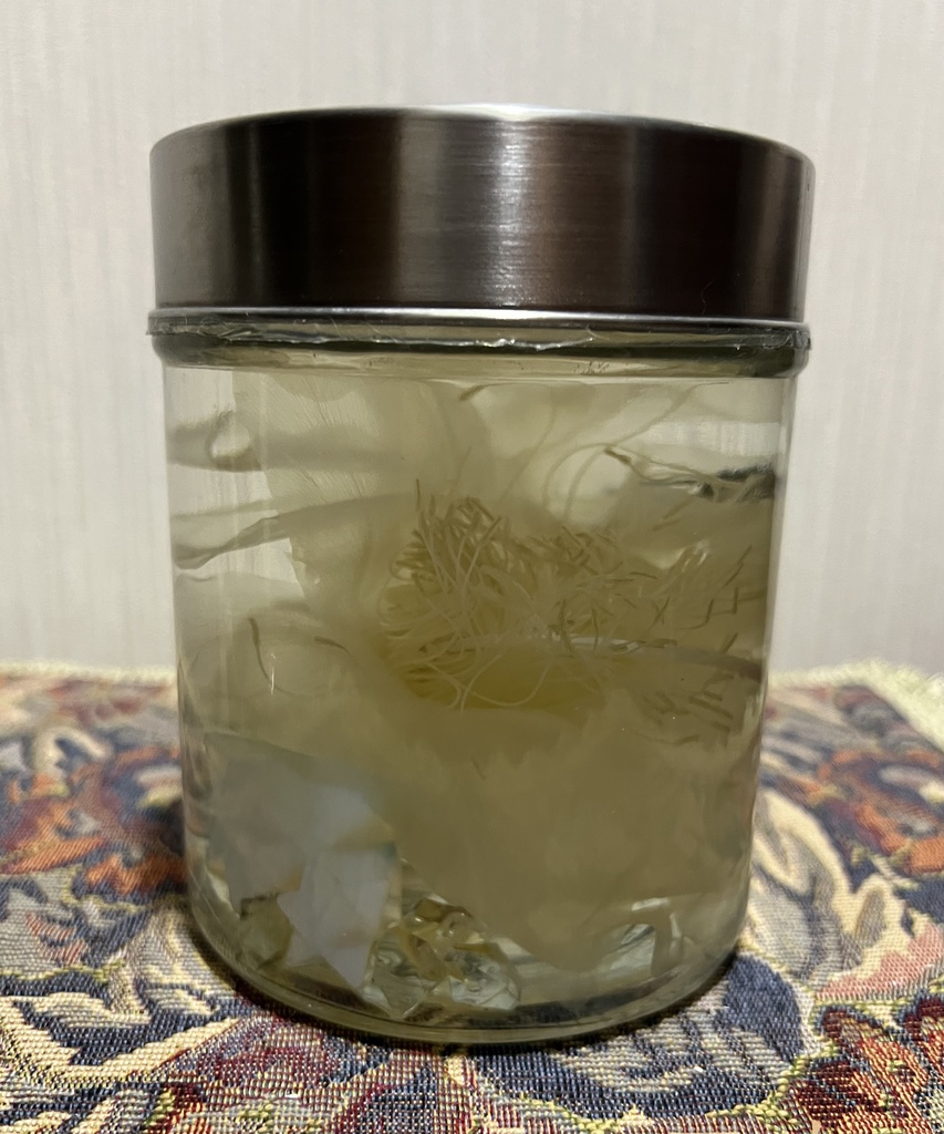 No.32: 星屑の月下美人標本