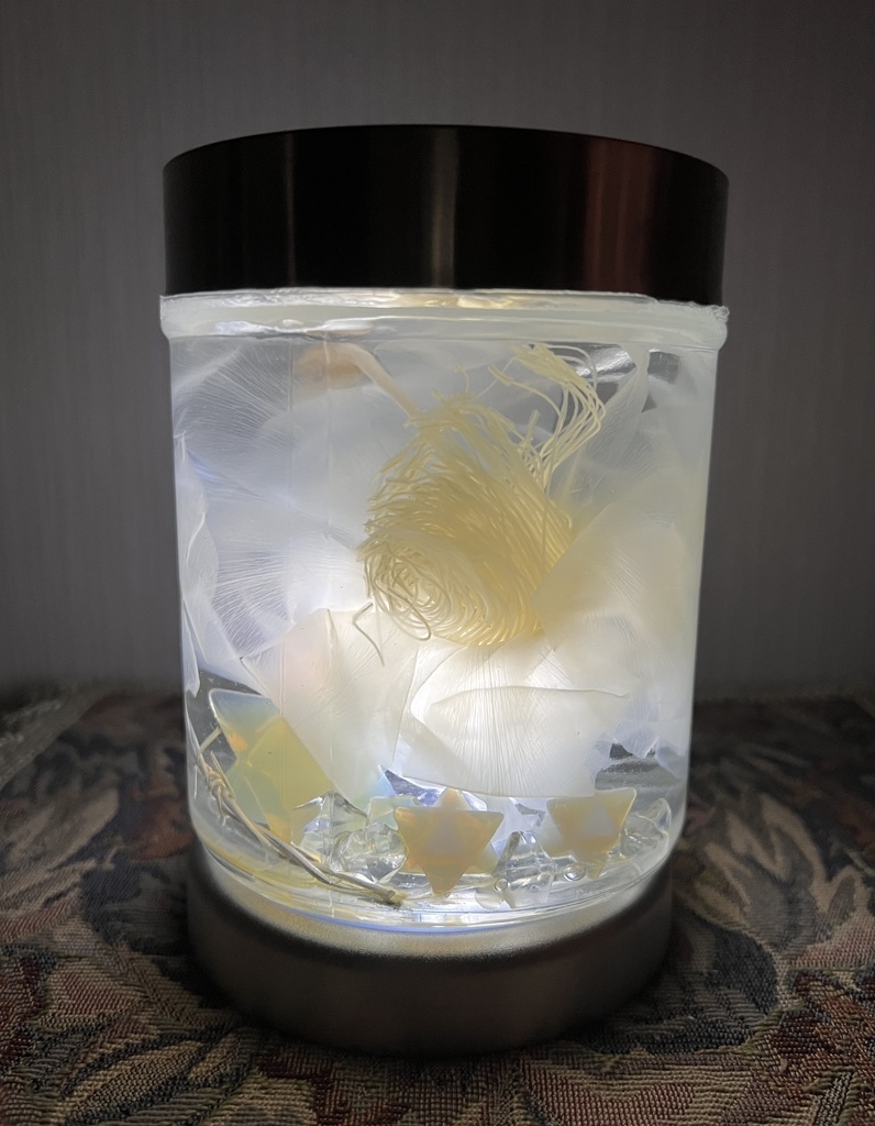 No.33: 星屑の月下美人標本