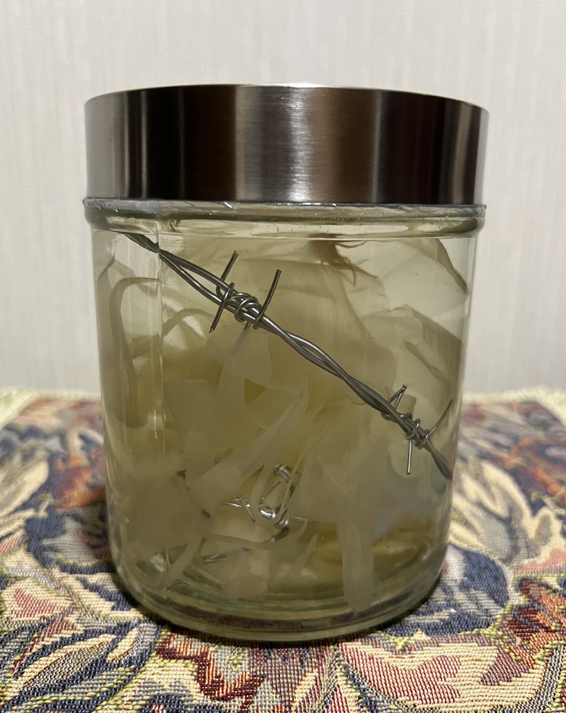 No.33: 星屑の月下美人標本