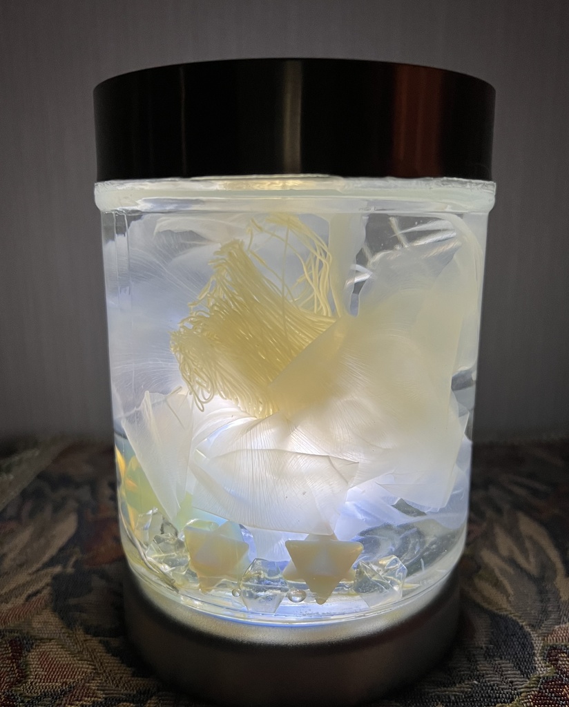 No.33: 星屑の月下美人標本