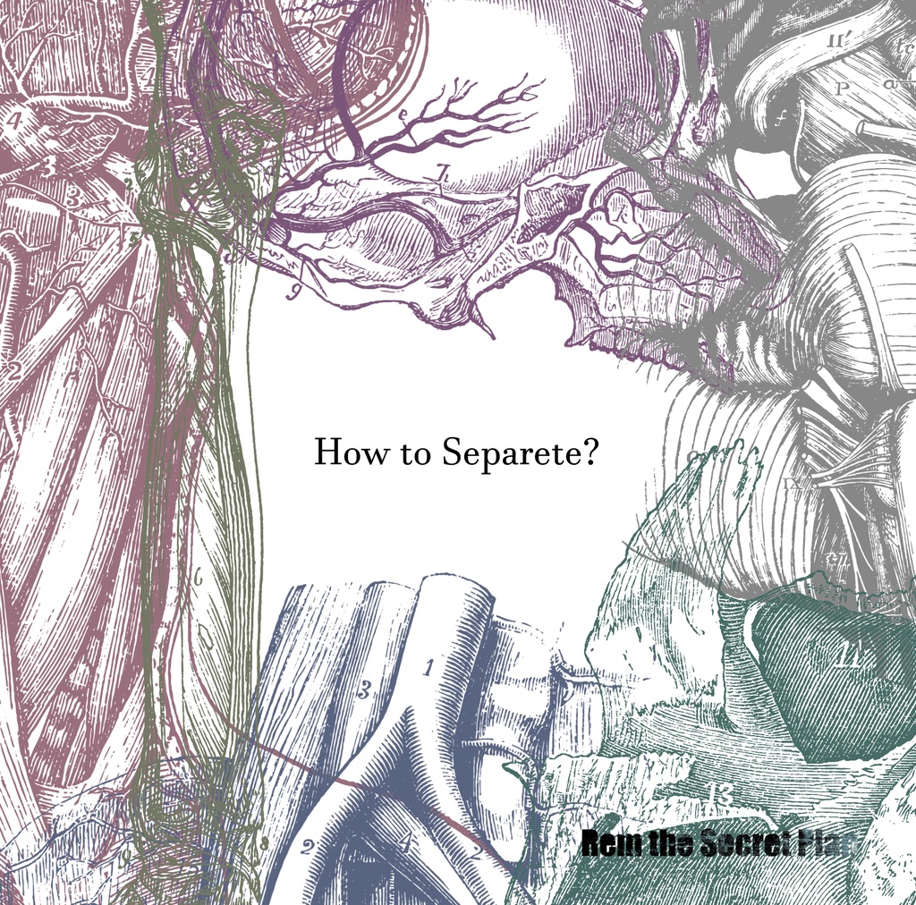 [1st Mini Album] How to Separate？ [Remix Edition][Digital]