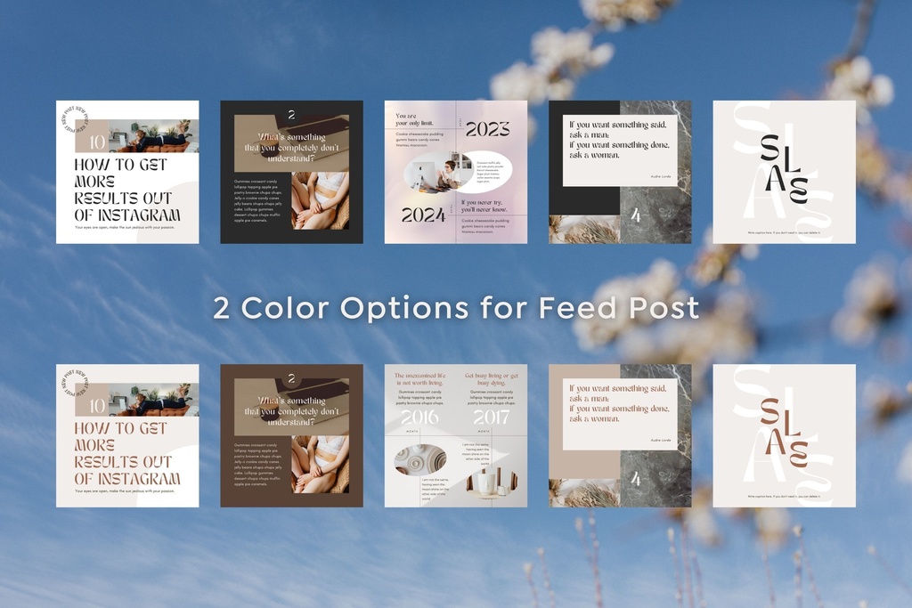 インスタグラムテンプレートCanva投稿&ストーリー300点セット - Luxe