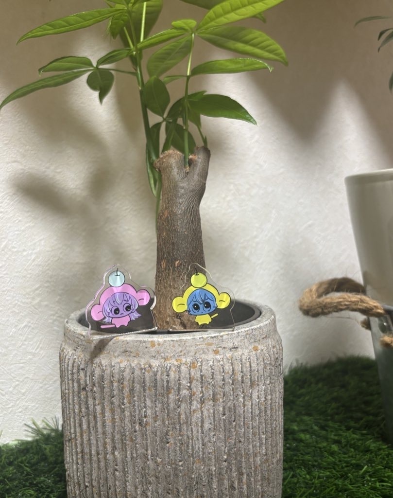 【非公式】ディティカ ミニアクリルブロック