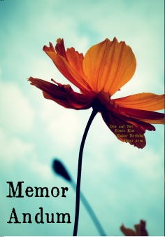 Memory Album