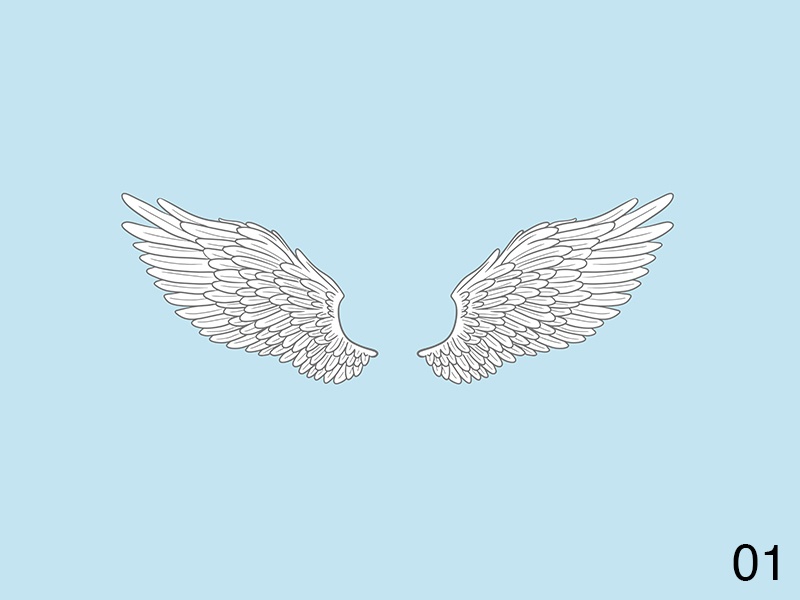 天使の翼5種