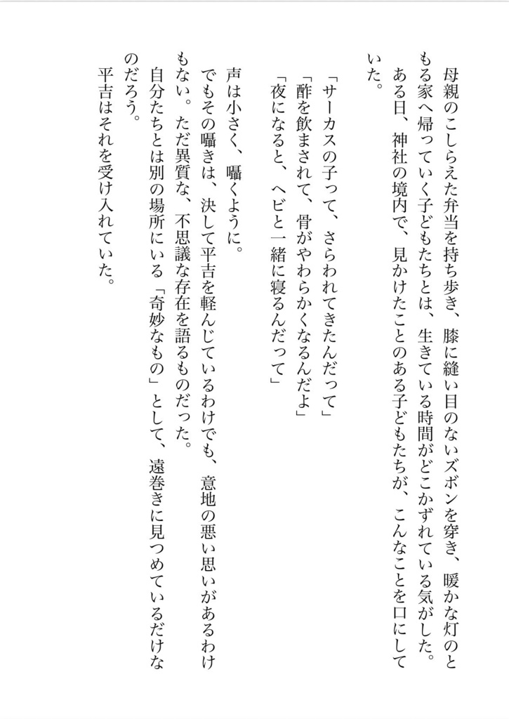 『二少年』※「怪人は探偵に堕とされる」外伝小説/通常版