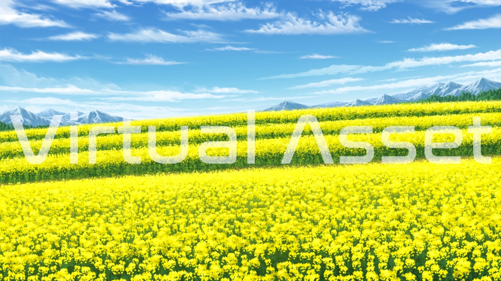 菜の花畑背景【VTuberさん向け】