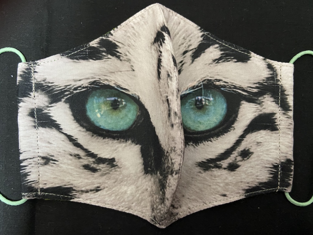 虎マスク 目元