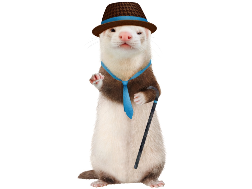 杖とネクタイとハットとフェレット