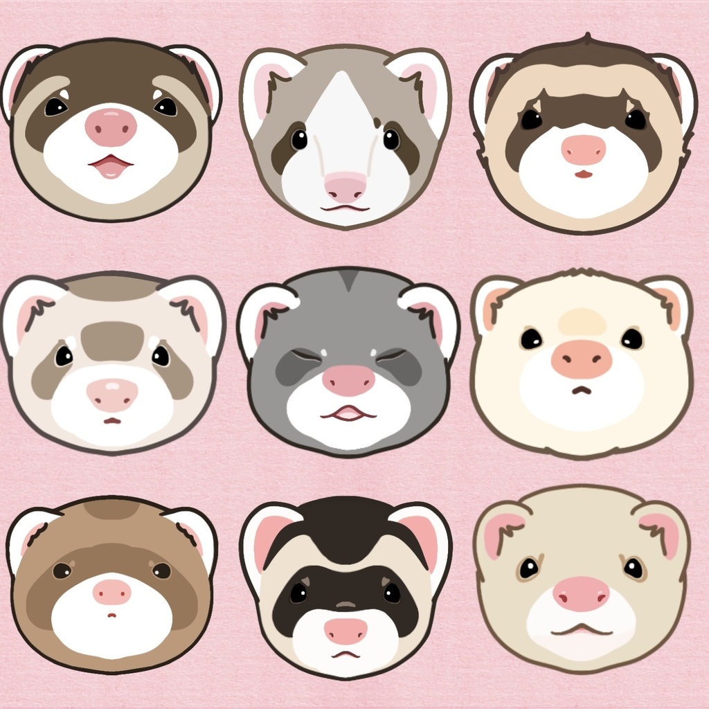 フェレットちゃん達