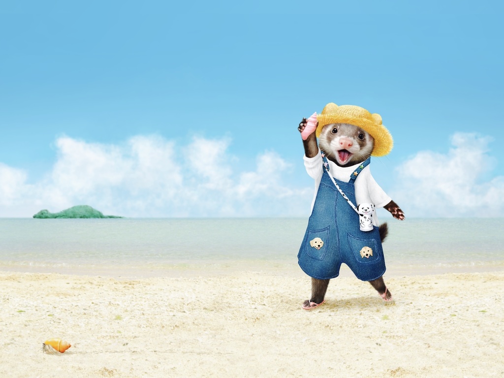 のんちゃんとヤドカリ