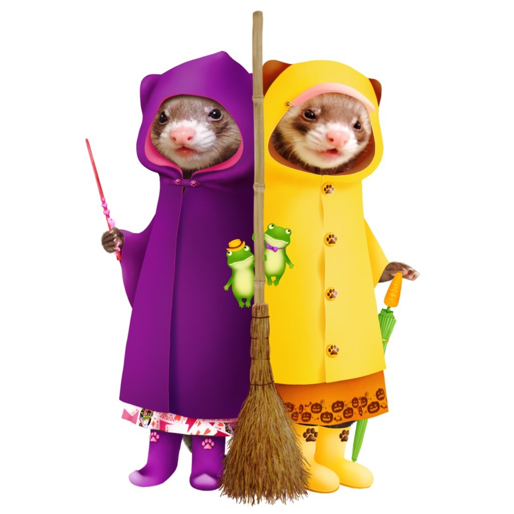 魔女っ子フェレットちゃん