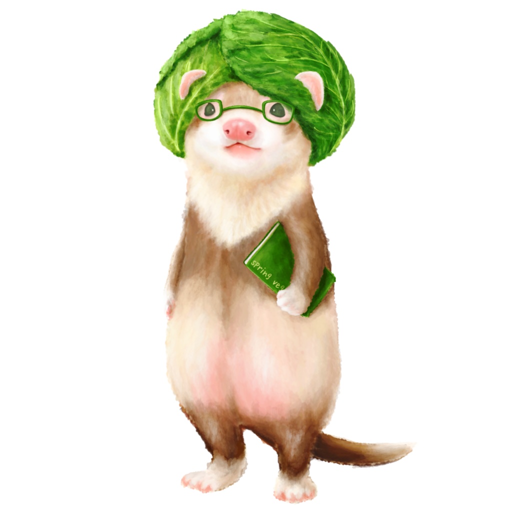 ハルヤサイタチ キャベツイタチさん