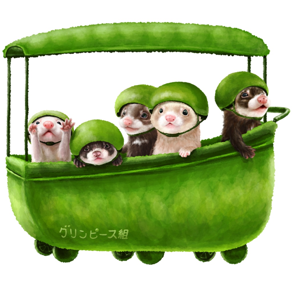 ハルヤサイタチ グリンピース組のイタチさん