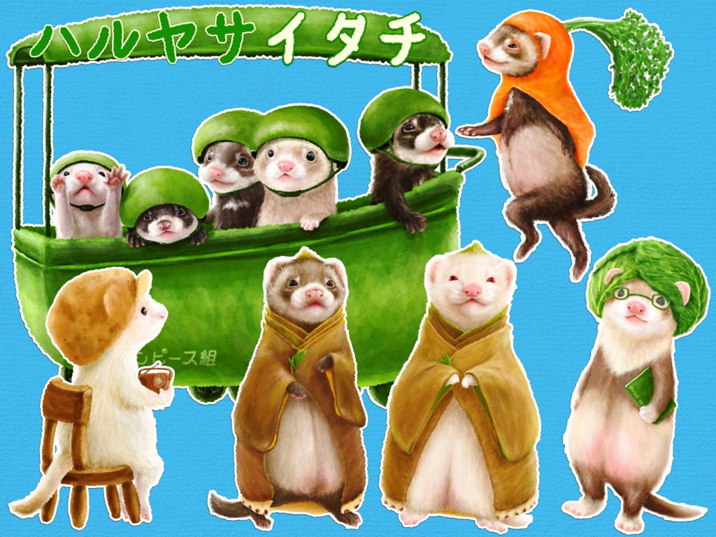ハルヤサイタチ
