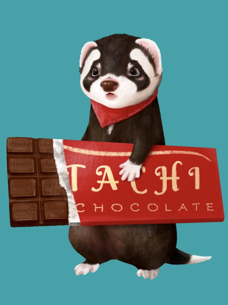 イタチョコ フェレット