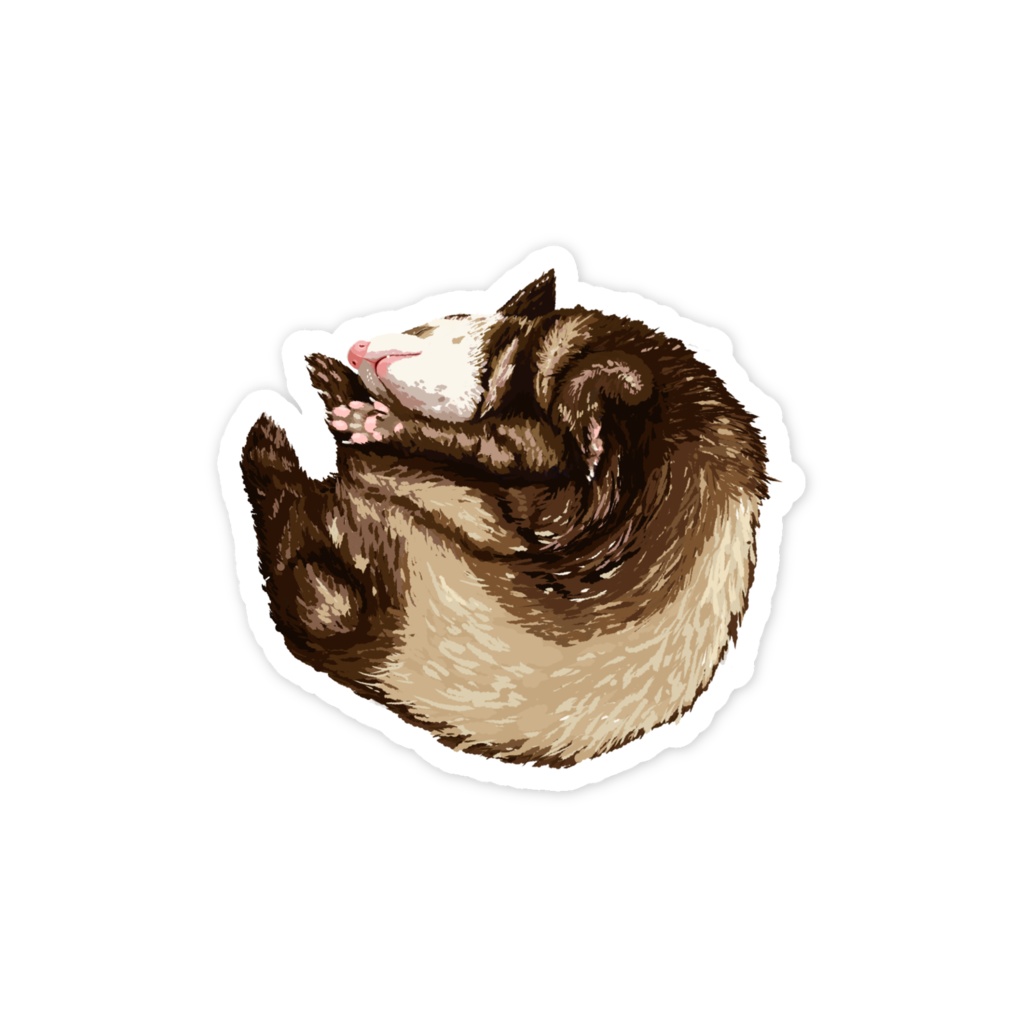 フェレット寝んね