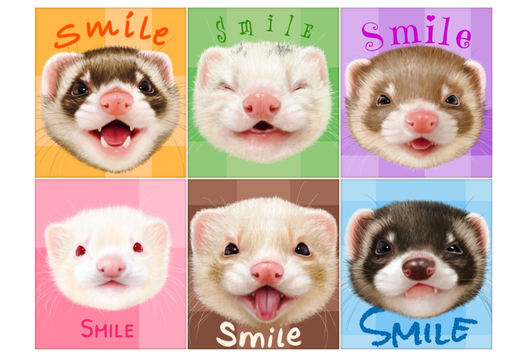 スマイルフェレット