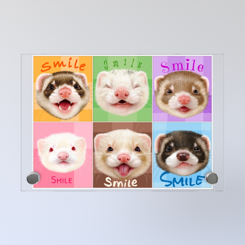 スマイルフェレット