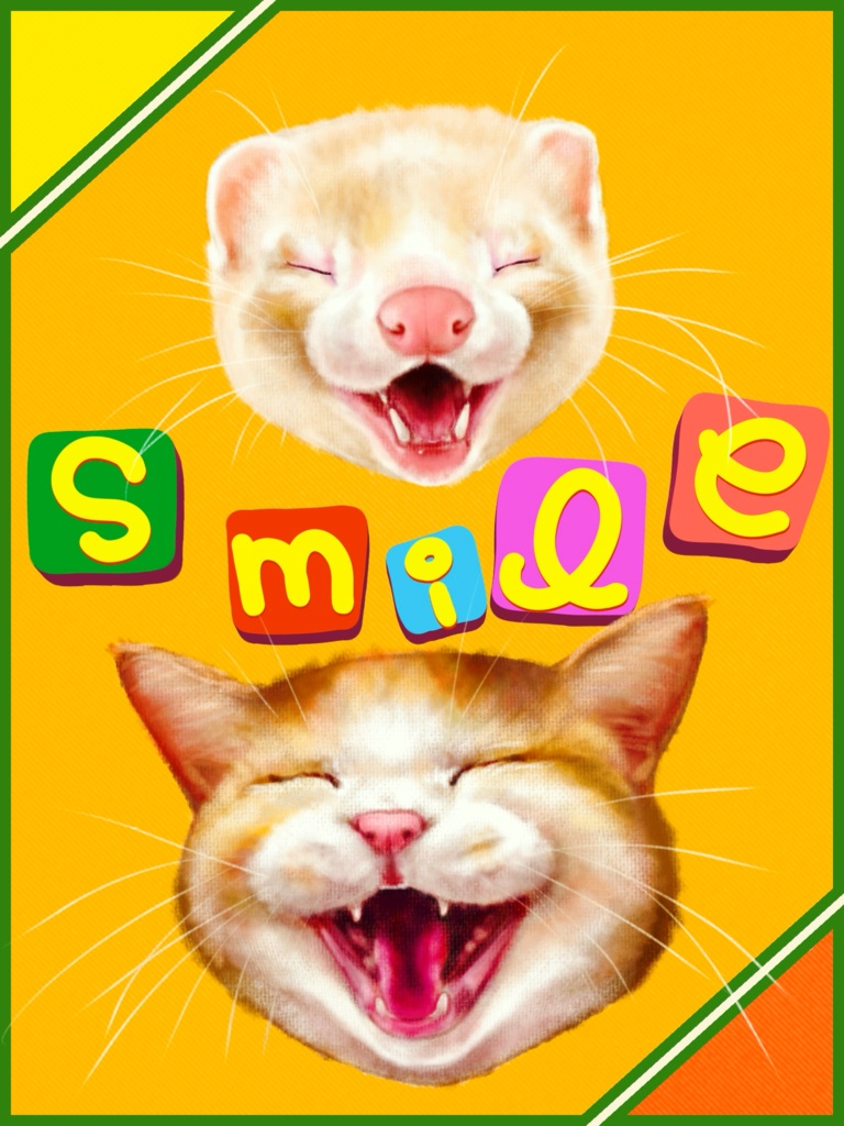 スマイル 猫とフェレット