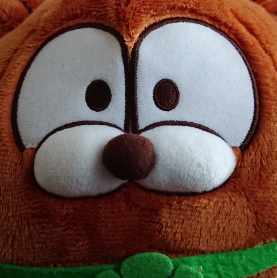 大阪インテ/専用出品