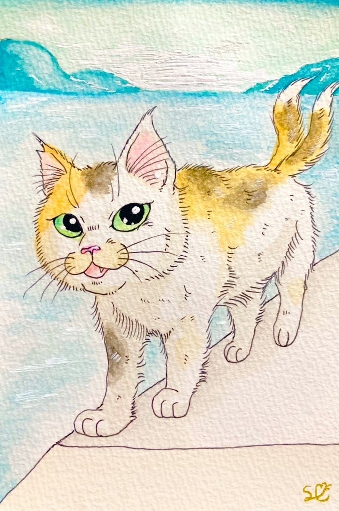 猫又と海ポストカード原画