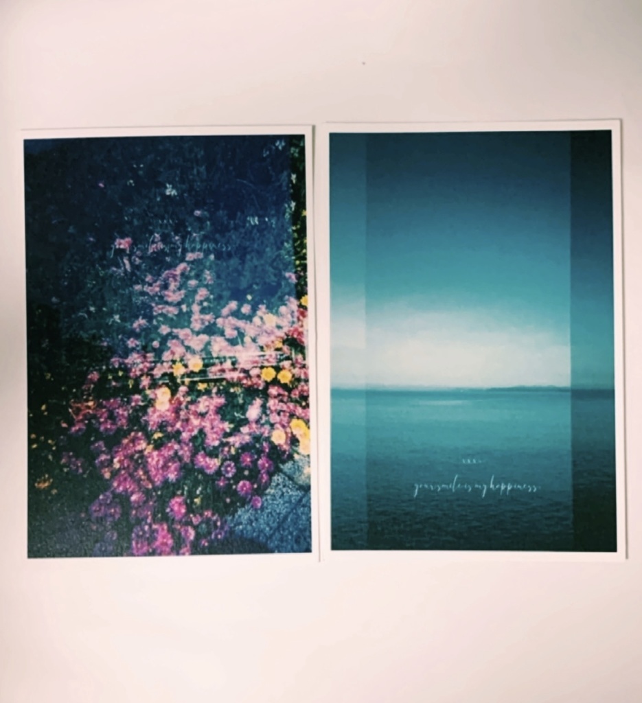 Toyphoto card collection