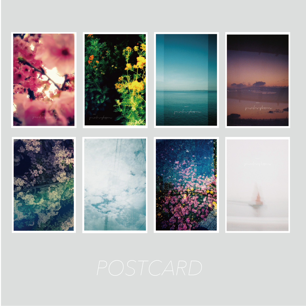 Toyphoto card collection