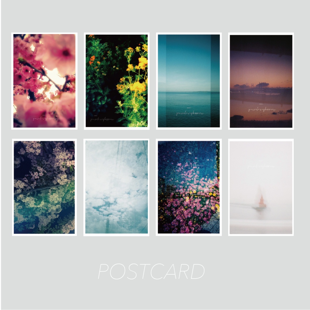 Toyphoto card collection
