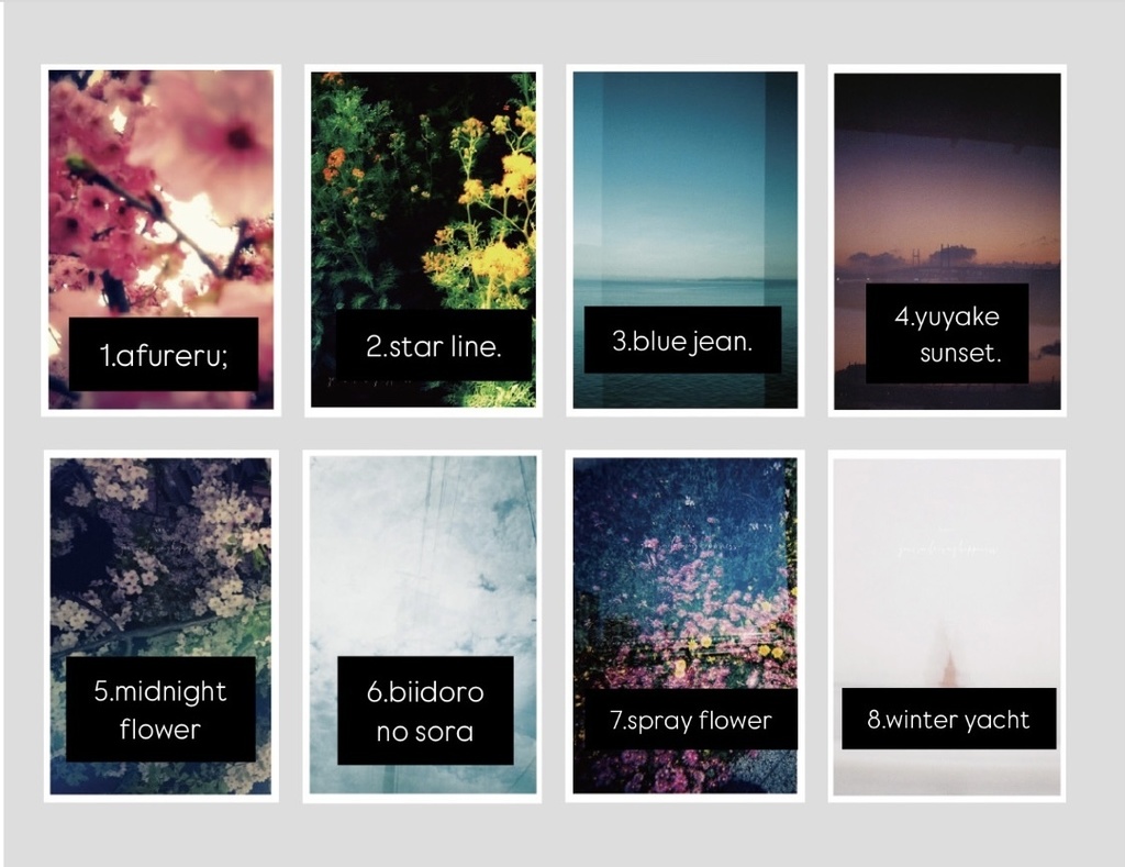 Toyphoto card collection