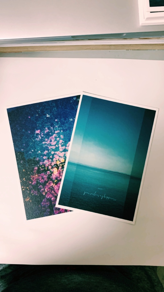 Toyphoto card collection