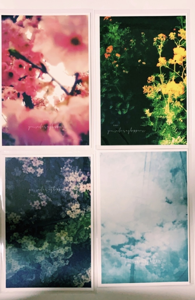 Toyphoto card collection