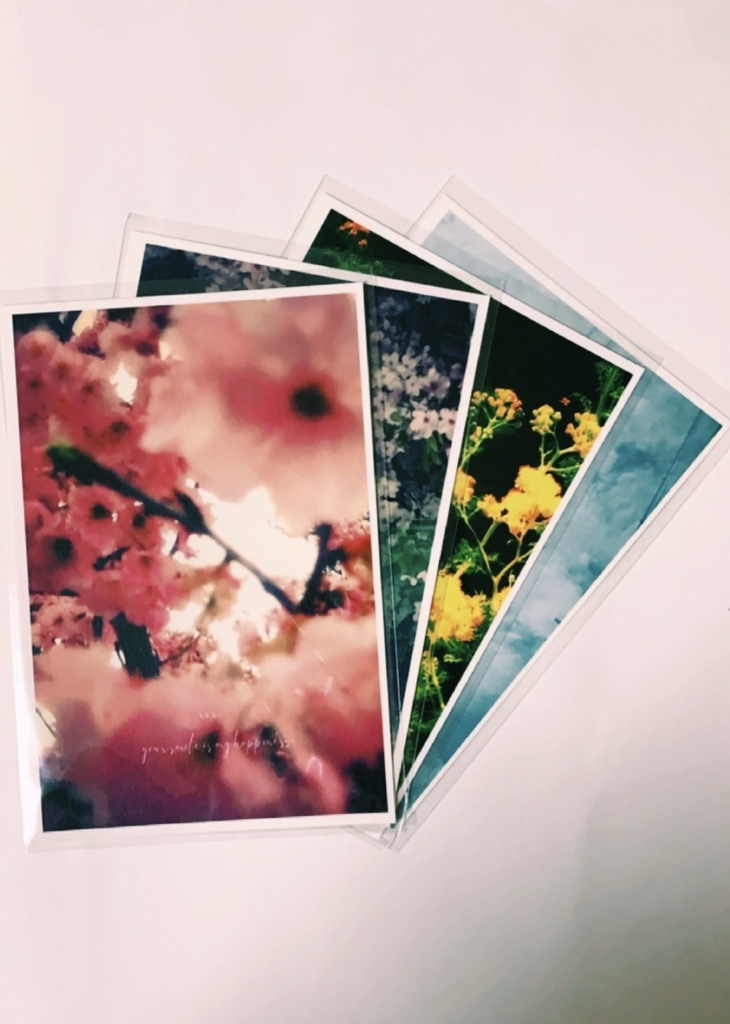 Toyphoto card collection