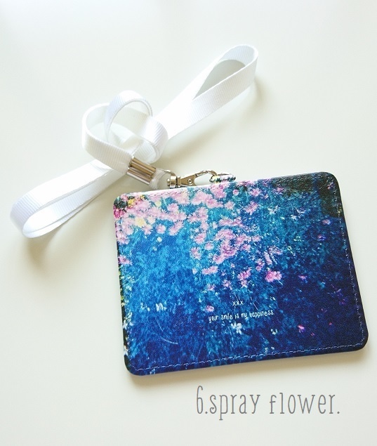 【7type】Toyphoto coroful passcase collection.