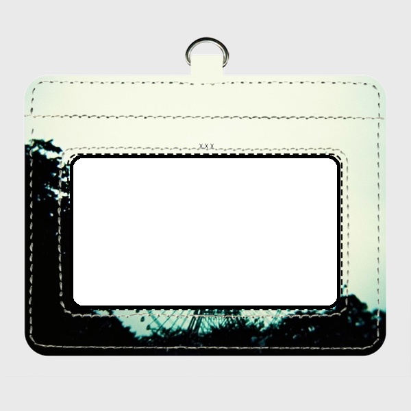 【7type】Toyphoto coroful passcase collection.