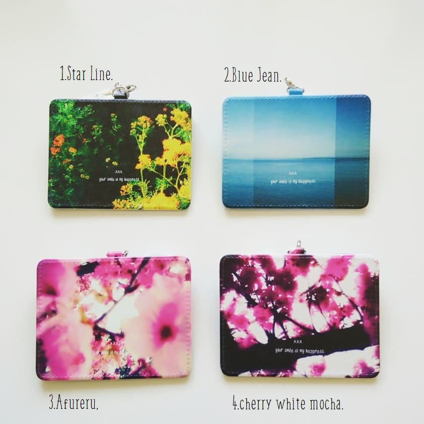 【7type】Toyphoto coroful passcase collection.
