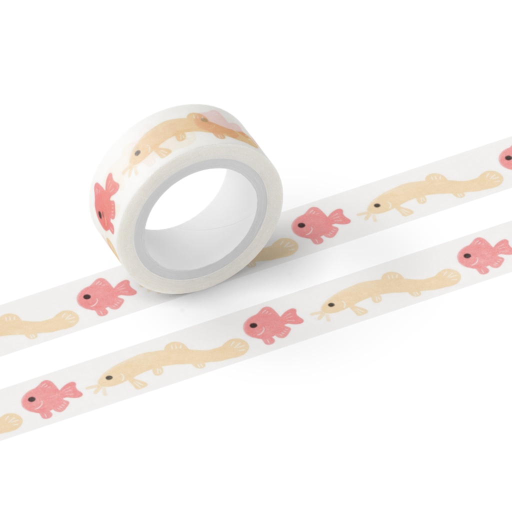 金魚とどじょうのマステ