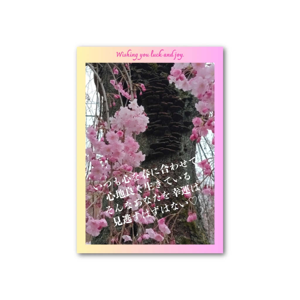 とあフォトメッセージカード(両面)「桜(サルノコシカケ)あなたを幸運は見逃さない♡」