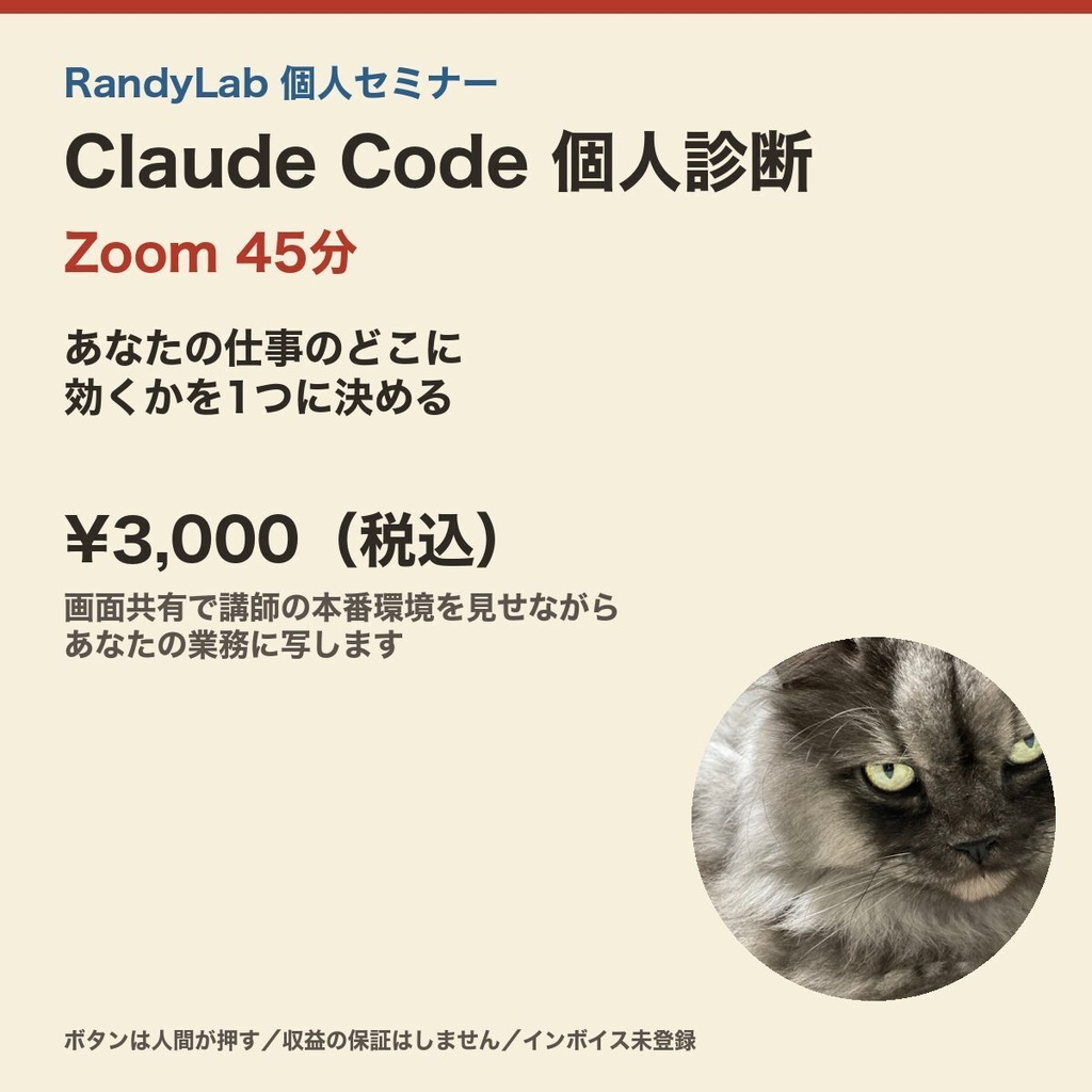 Claude Code 個人診断（Zoom 45分）｜あなたの仕事のどこに効くかを1つに決める受講チケット