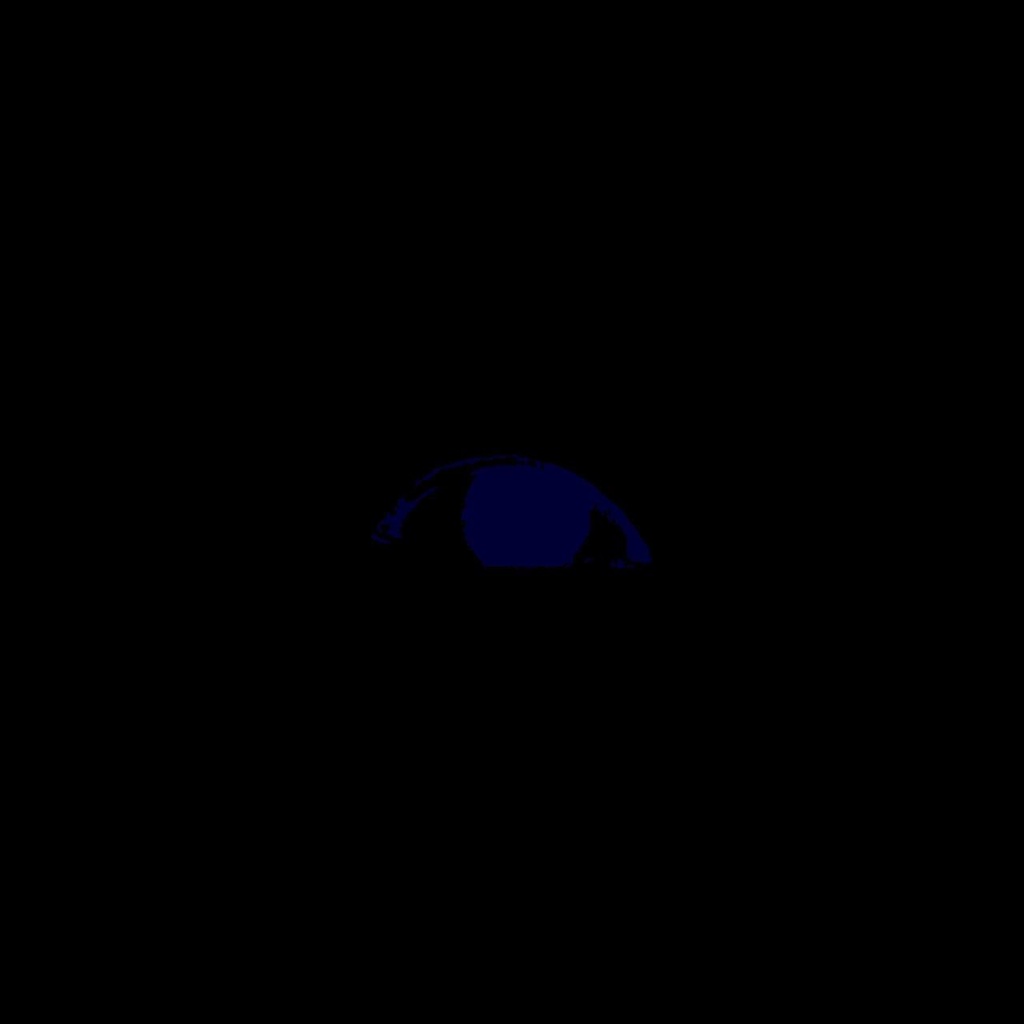 【フリーBGM】ホラー /  ダーク / ミステリー 「Maze Enigma」