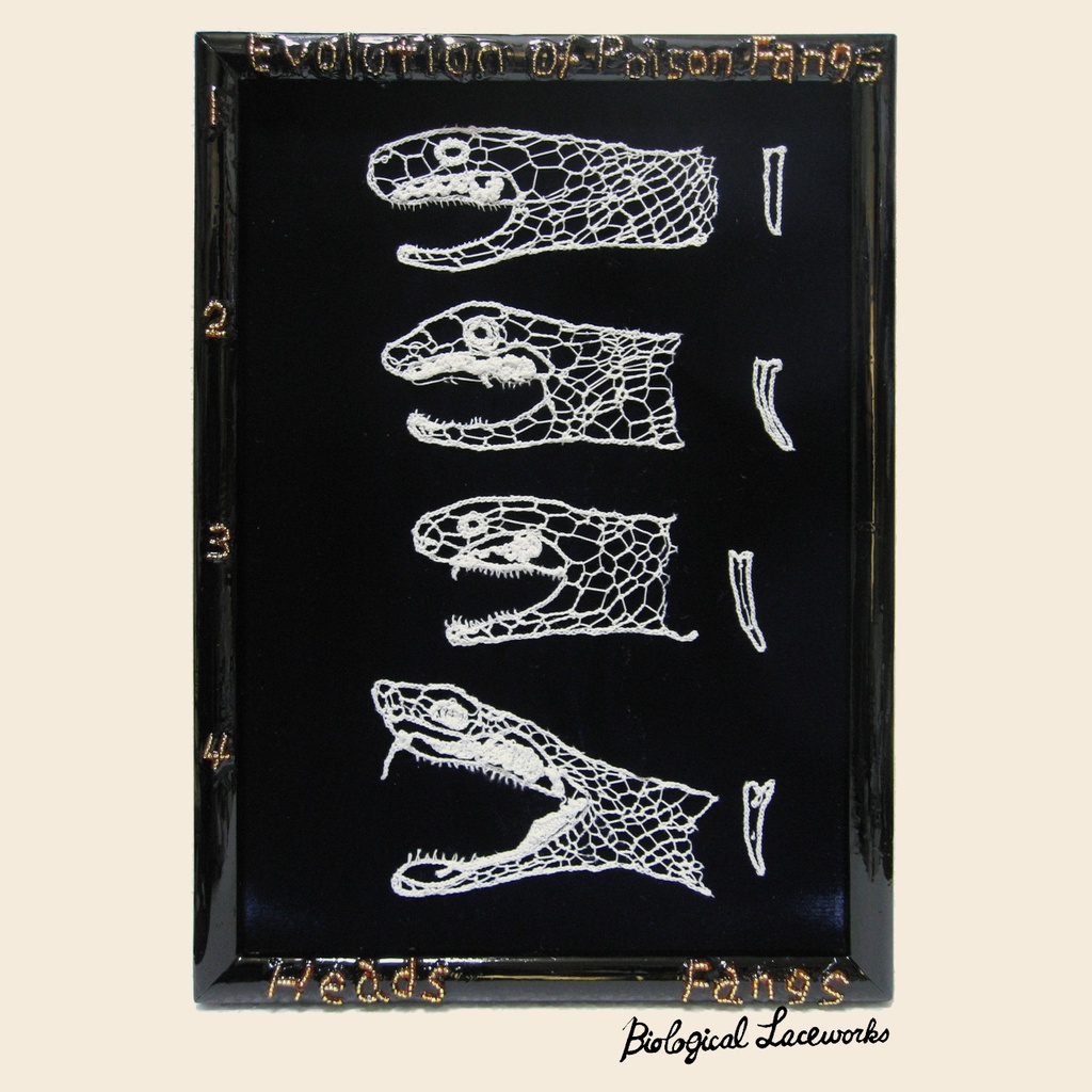 Evolution of Poison Fang 1