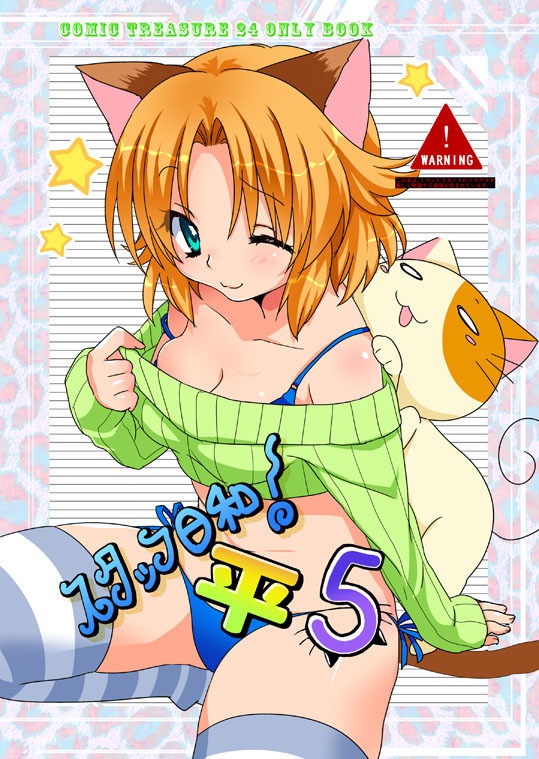 スタッフ日和！平５（送料込み）