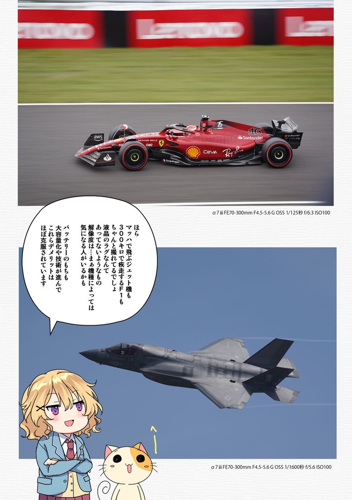 ミラーレスはじめました 第一章 はじめての失敗しないミラーレス