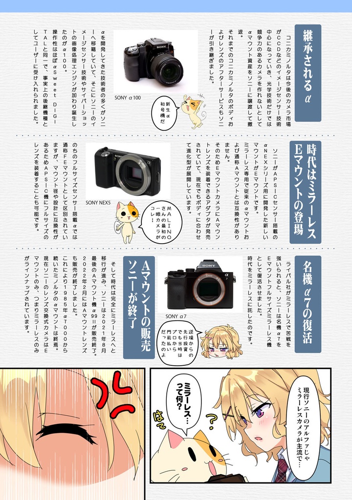 ミラーレスはじめました 第一章 はじめての失敗しないミラーレス