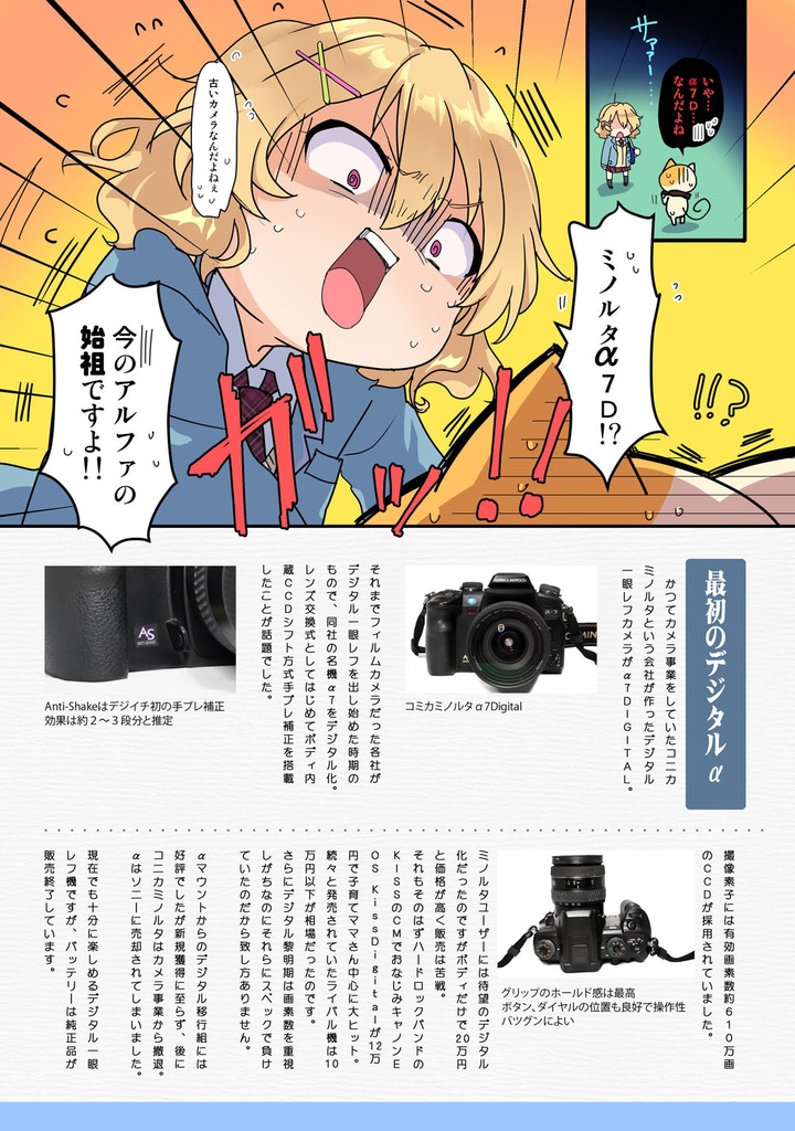 ミラーレスはじめました 第一章 はじめての失敗しないミラーレス