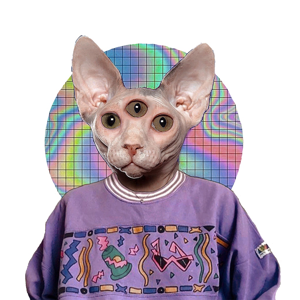 おしゃれきゃっと