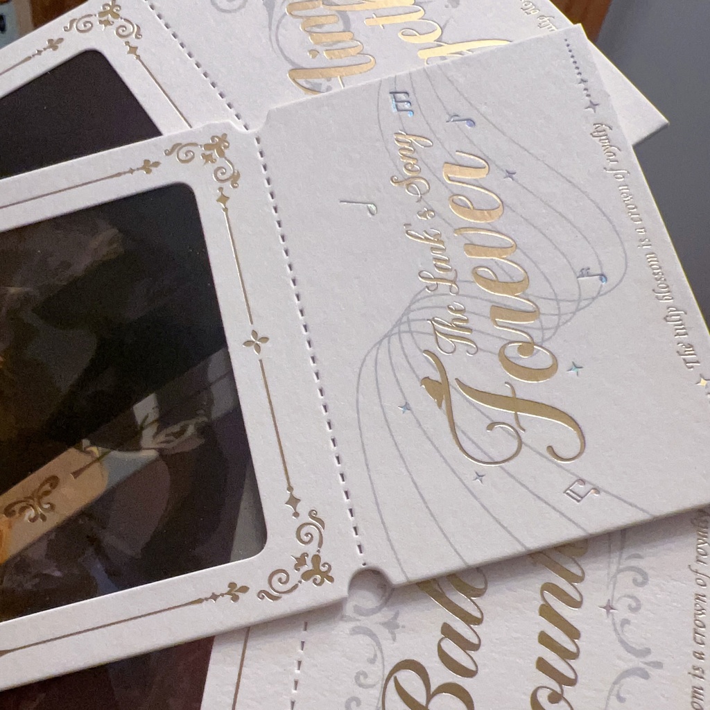 シェレイ19周年企画「TULIP’S SECRET」